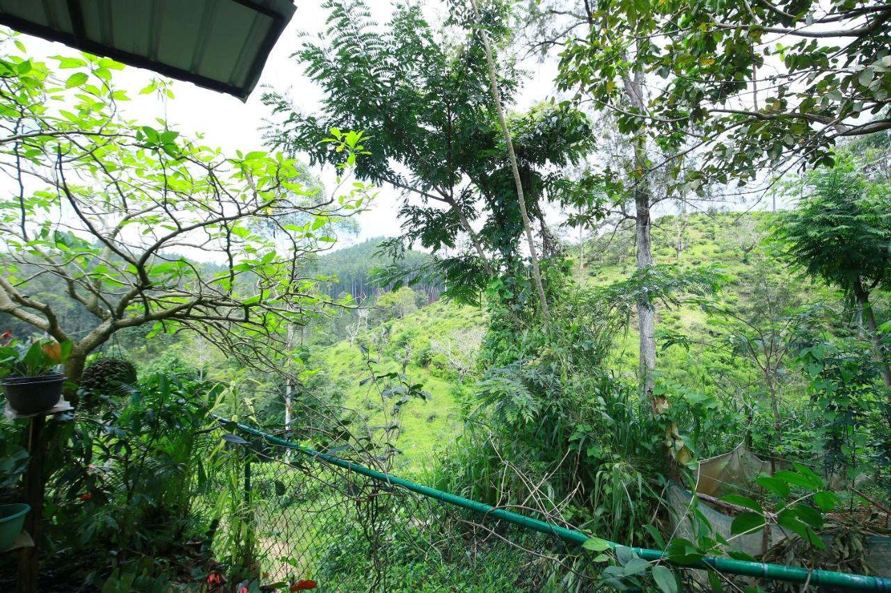Nature Relax Ella Exterior photo